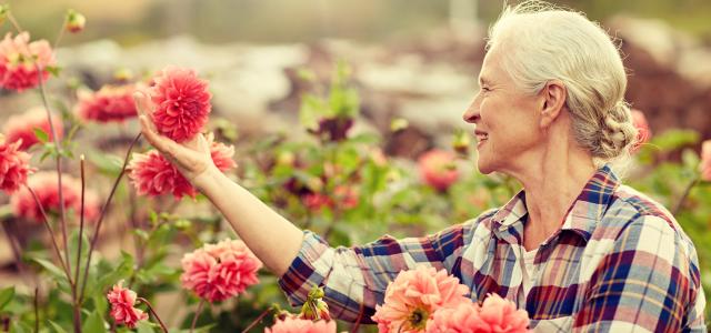 happy senior woman with flowers blooming at summer garden
